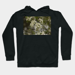 Blossoms Hoodie